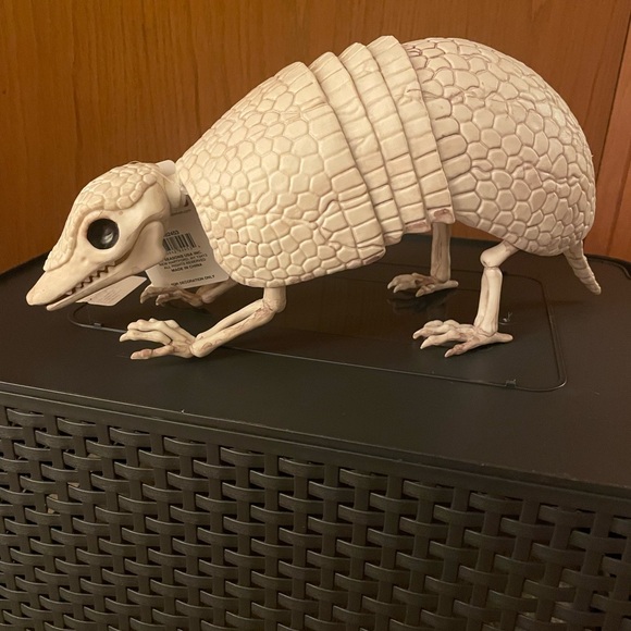 NEW! Halloween Armadillo Skeleton - Picture 1 of 3
